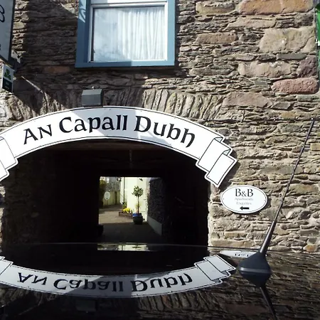 Centre Townhouse An Capall Dubh Dingle