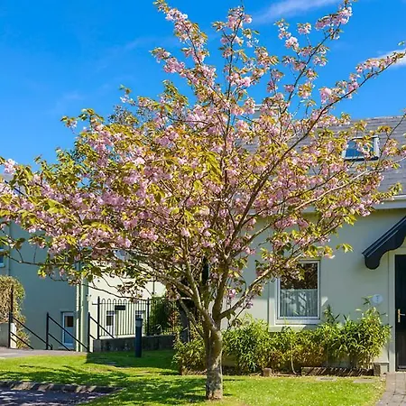 Centre Townhouse An Capall Dubh Hébergement de vacances