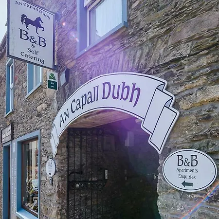 Centre Townhouse An Capall Dubh * Dingle