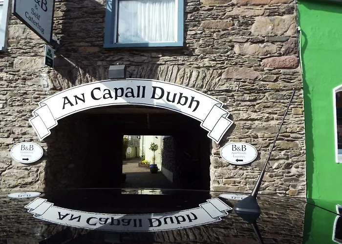 Centre Townhouse An Capall Dubh Дингл