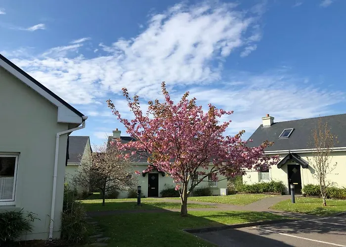 Centre Townhouse An Capall Dubh 度假居