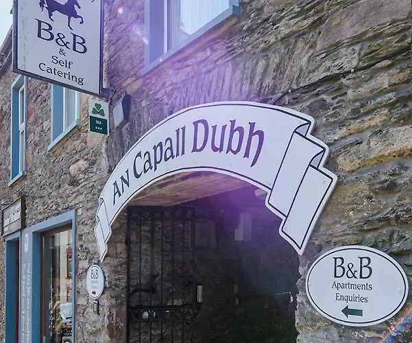 Centre Townhouse An Capall Dubh * 丁格尔