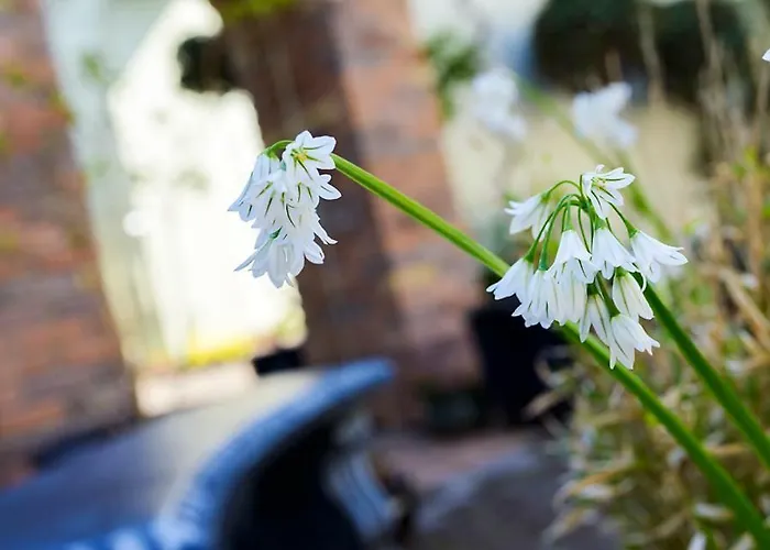 Centre Townhouse An Capall Dubh * 딩글